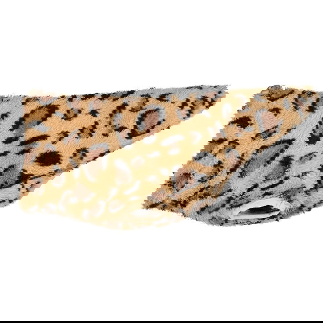 51 Degrees North Teckel Turtle Teddy, leopard