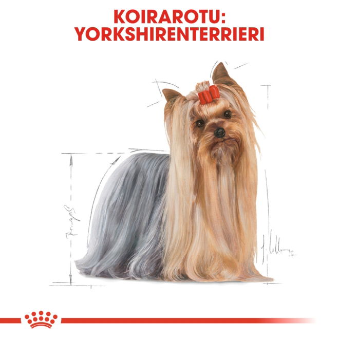 Royal Canin Yorkshire 12x85g