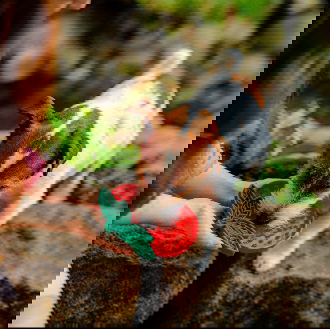 Little&Bigger Juicy Vibes mansikka nuolumatto