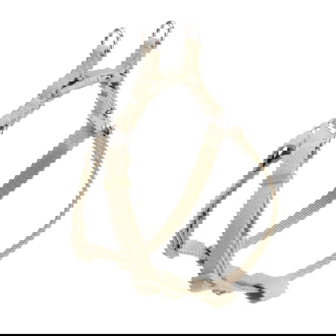 Little&Bigger PuppyBasics Taffi Step-in valjas Pistachio Cream