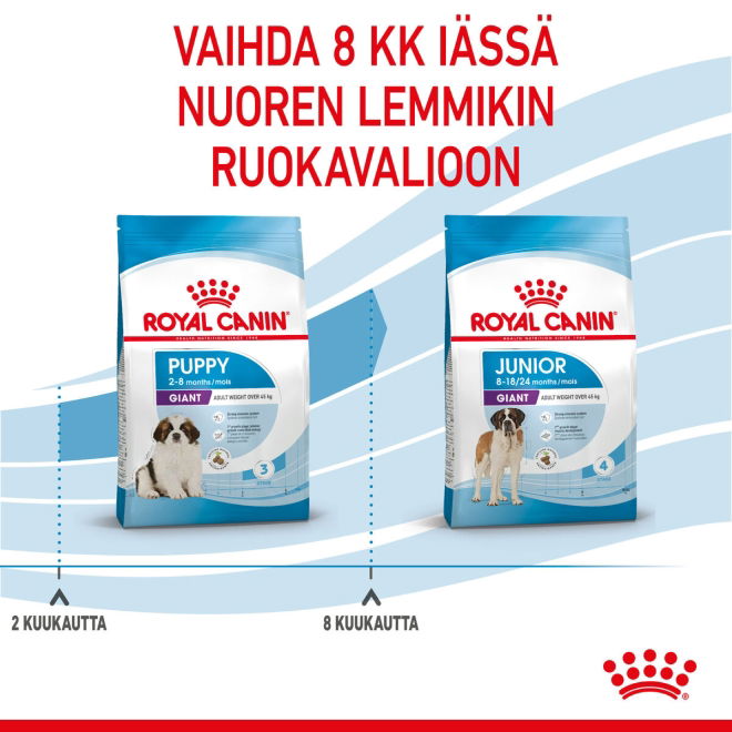 Royal Canin Giant Puppy koiranpennun kuivaruoka