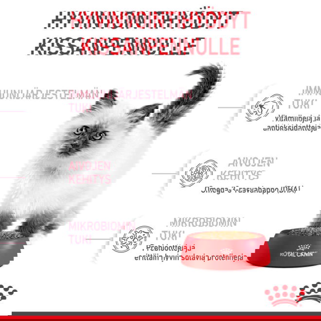 Royal Canin Kitten kissanpennun kuivaruoka
