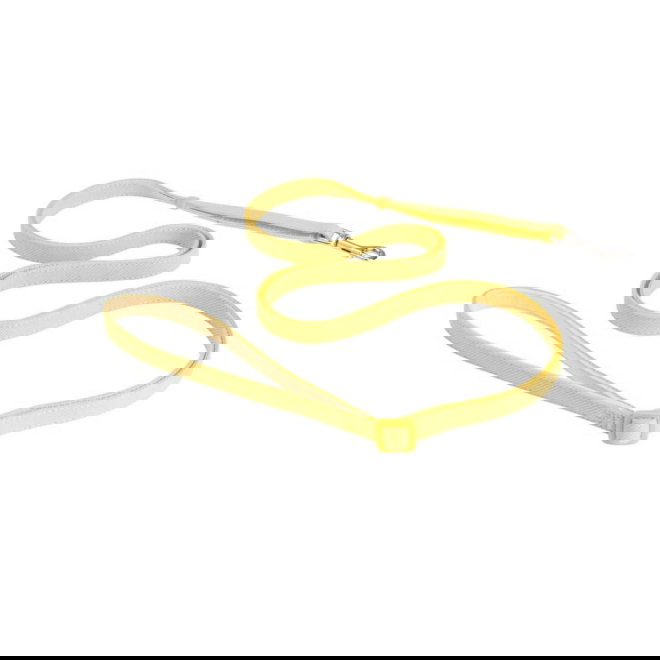 Little&Bigger PuppyBasics Taffi s&auml;&auml;dett&auml;v&auml; talutin Lime mist