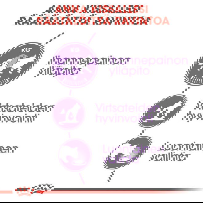 Royal Canin Sterilised Jelly Adult kissan märkäruoka