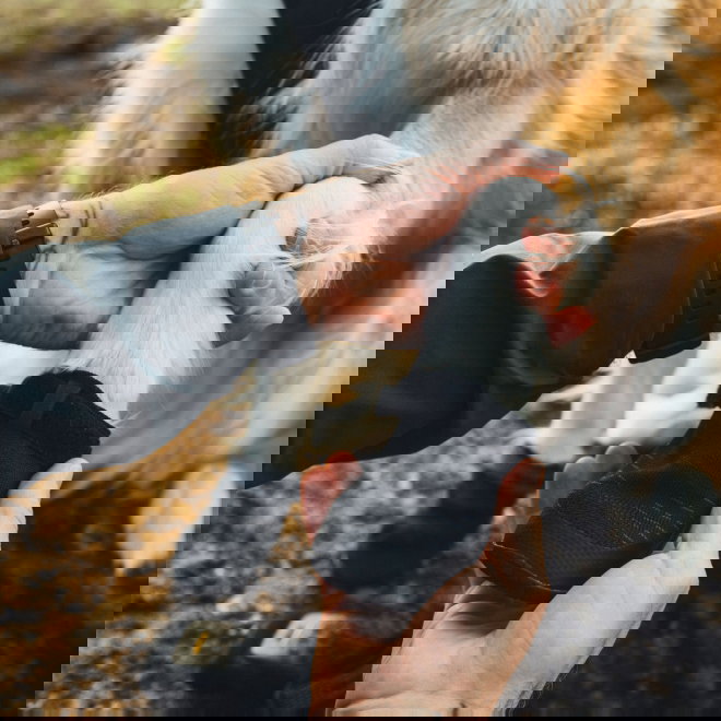 Ruffwear Ridgeline Keng&auml;t, mustat