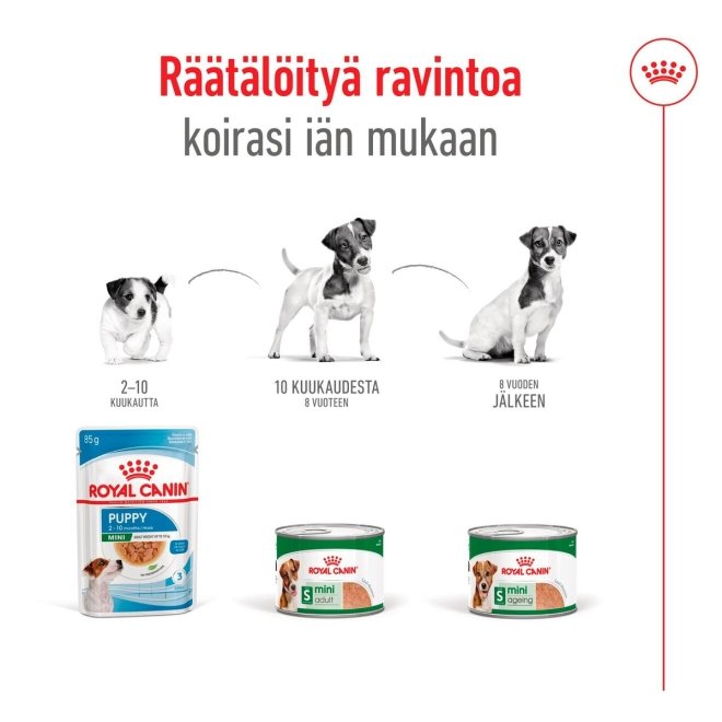 Royal Canin Mini Adult loaf can 195g