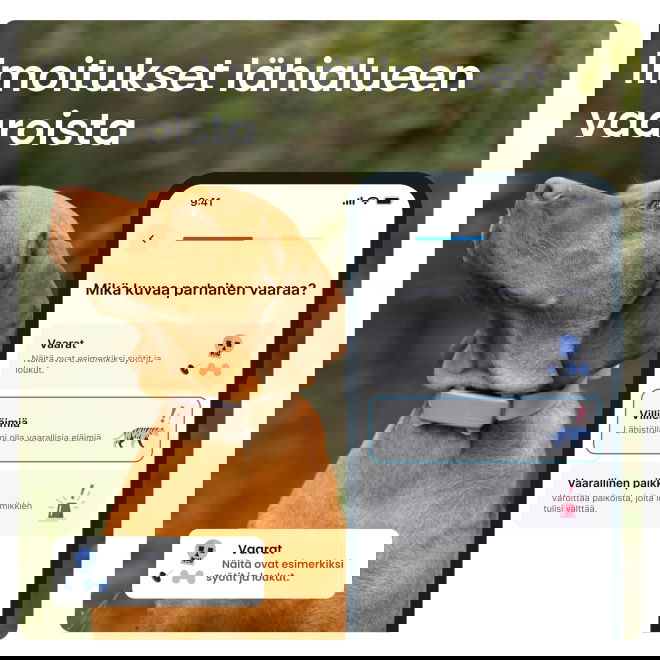 Tractive DOG 6 koira-GPS + terveysvahti &ndash; ruskea