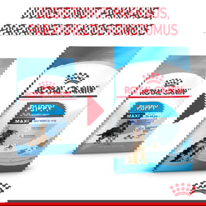 Royal Canin Maxi Puppy koiranpennun kuivaruoka