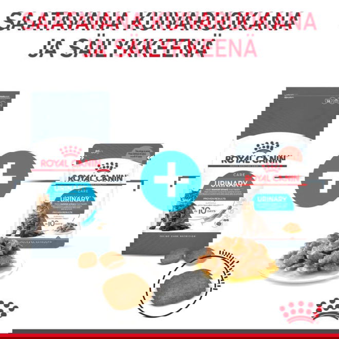 Royal Canin Urinary Care Adult kissan kuivaruoka