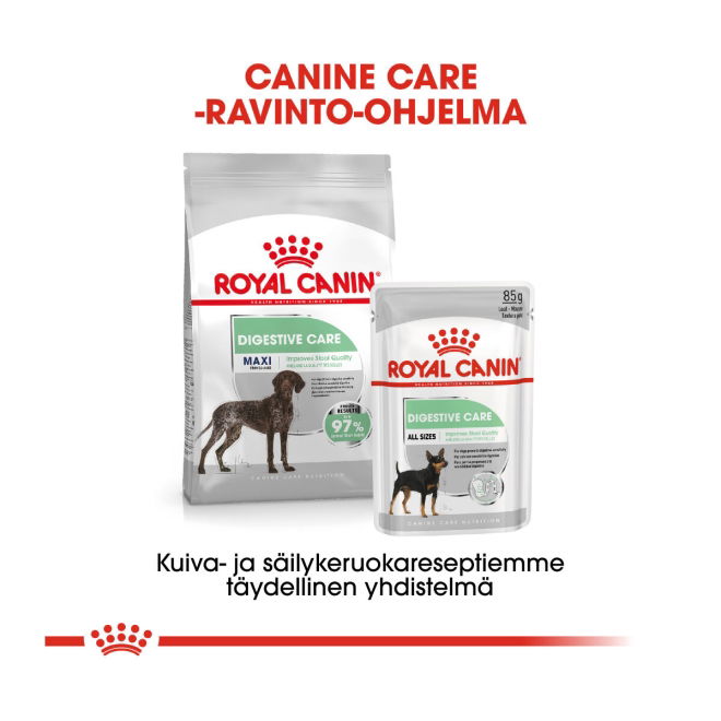 Royal Canin Digestive Care Maxi Adult koiran kuivaruoka