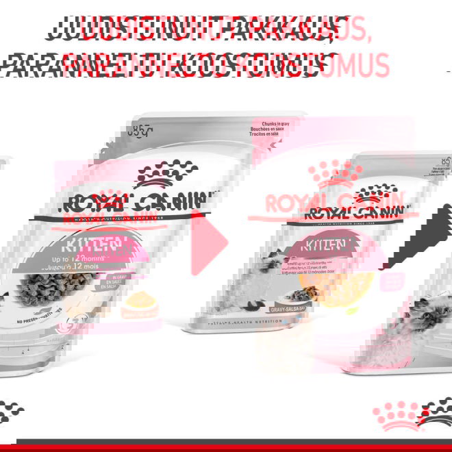 Royal Canin Kitten Gravy kissanpennun märkäruoka 12x85 g