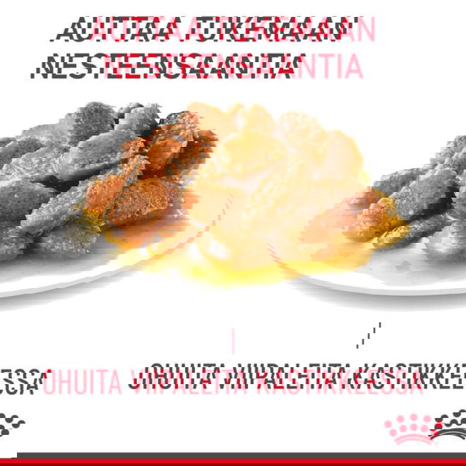 Royal Canin Urinary Care Gravy Adult kissan märkäruoka