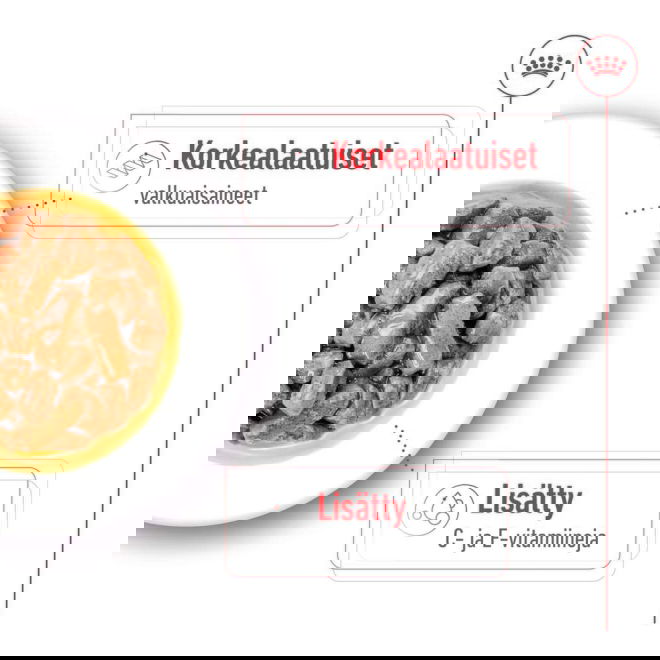 Royal Canin Medium Adult Gravy koiran märkäruoka 10x140g