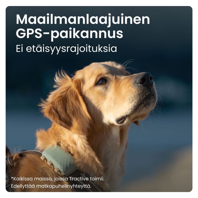 Tractive DOG XL – Koiran GPS ja terveysvahti isoille roduille, akunkesto 1 kk