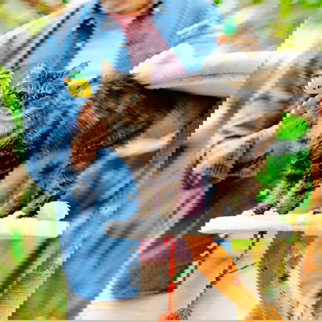 Little&Bigger Juicy Vibes hedelm&auml; kiipeilypuu kissalle