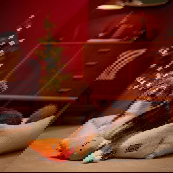 Little&Bigger Xmas Stories XL iloinen porkkana köydellä