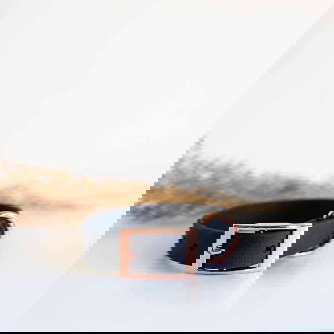 Tyylivoitto Classy pienen koiran panta , musta/ruusukulta