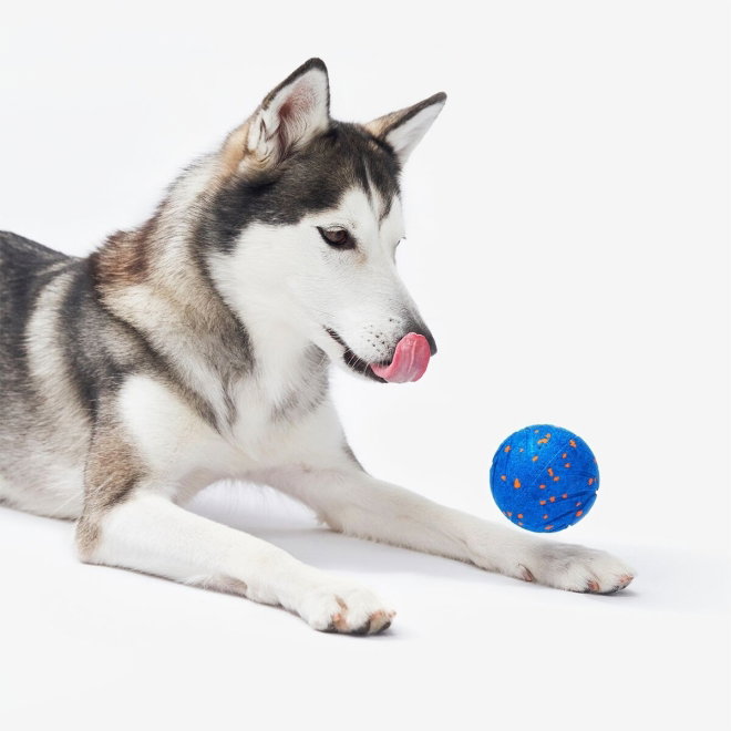 Cheerble Wicked Ball Air (Sininen)