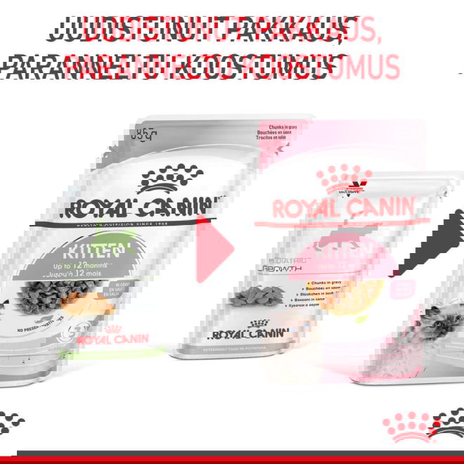 Royal Canin Kitten Gravy kissanpennun märkäruoka 12x85 g