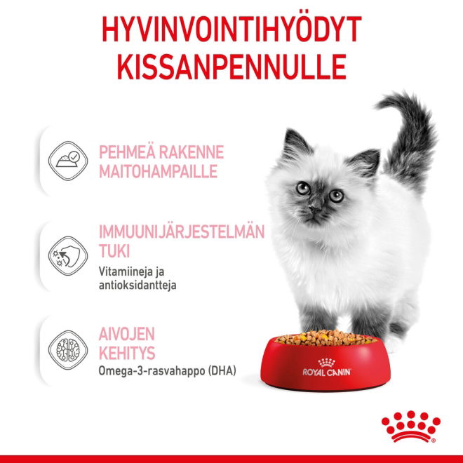 Royal Canin Kitten Jelly kissanpennun märkäruoka 12x85 g