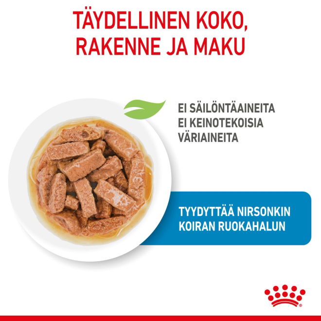 Royal Canin Maxi Puppy Gravy koiranpennun märkäruoka 10x140g