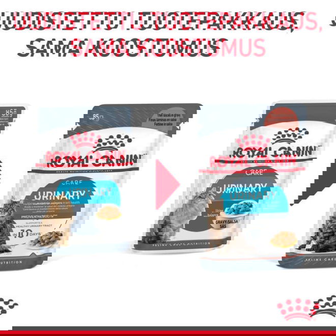 Royal Canin Urinary Care Gravy Adult kissan märkäruoka