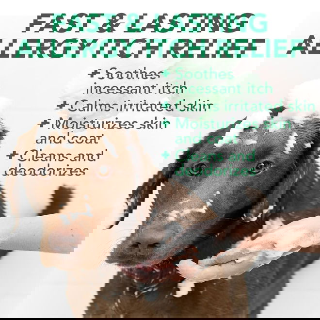 Vets Best Allergy itch Shampoo 500ml