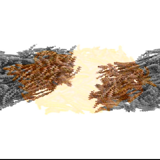 Kerbl jauhomadot 900g &auml;mp&auml;ri