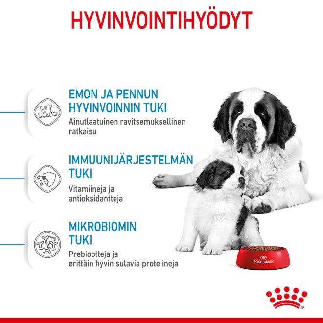 Royal Canin Giant Starter koiranpennun kuivaruoka