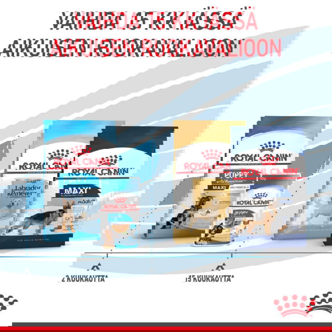 Royal Canin Maxi Puppy koiranpennun kuivaruoka