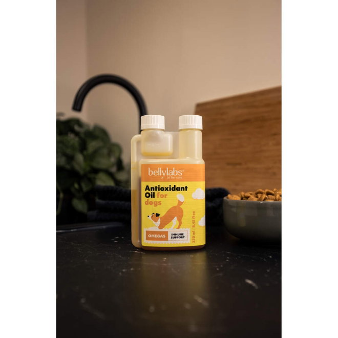 Bellylabs Antioxidantti&ouml;ljy 250 ml