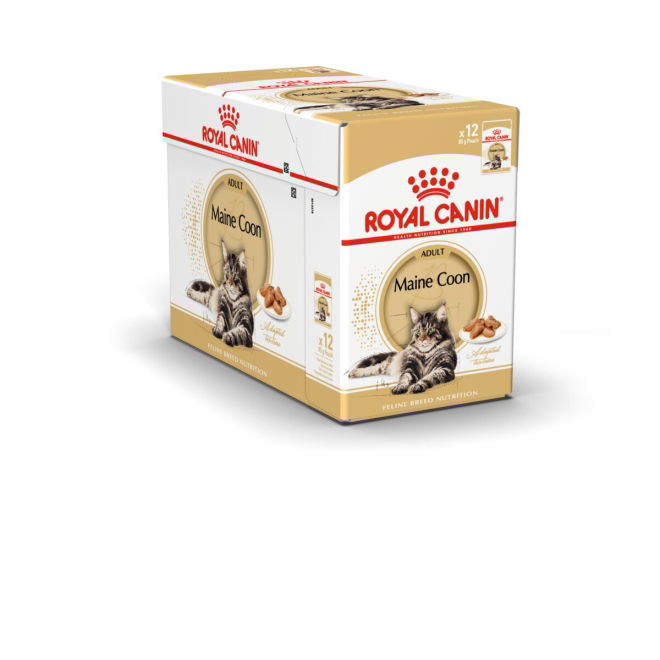 Royal Canin Maine Coon Adult Gravy kissan märkäruoka 12 x 85 g