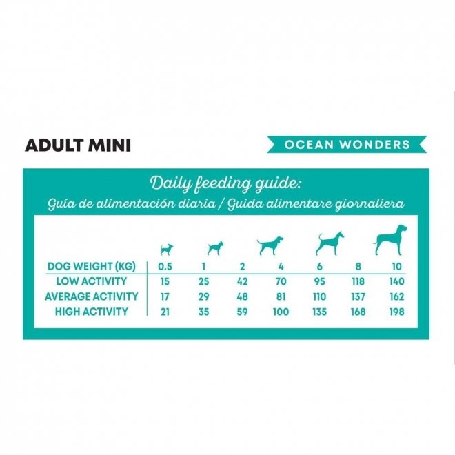 Harper and Bone Dog Adult Mini Ocean Wonders