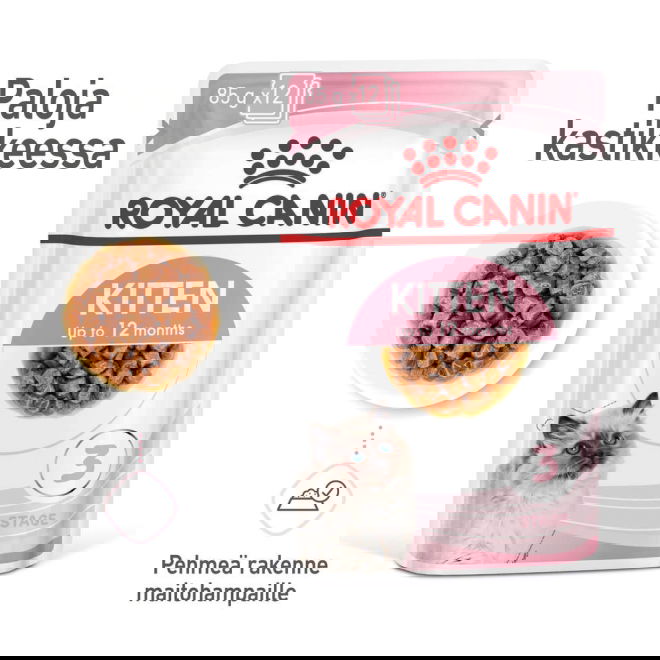 Royal Canin Kitten Gravy kissanpennun märkäruoka 12x85 g