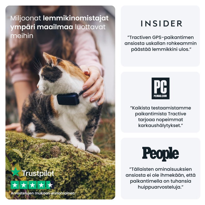 Tractive CAT Mini – kissan GPS ja terveysvahti