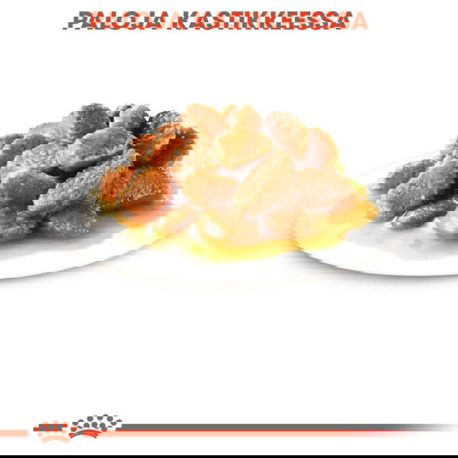 Royal Canin Mini Ageing Gravy koiran märkäruoka 12 x 85 g