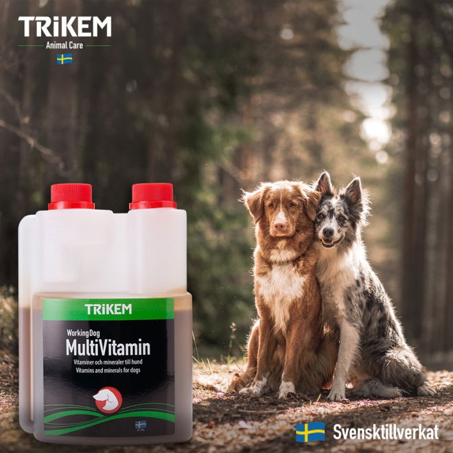 TRIKEM WorkingDog Multivitamin 500 ml