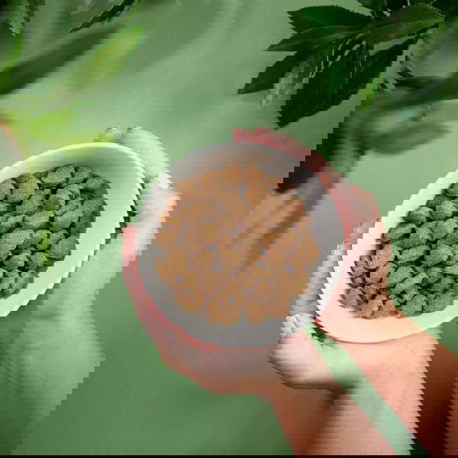 Purenatural Dog Senior (12 kg)