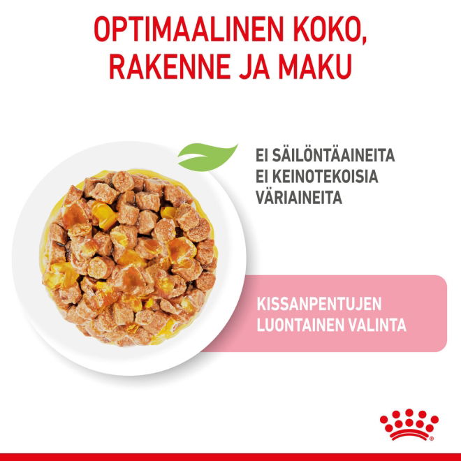 Royal Canin Kitten Jelly kissanpennun märkäruoka 12x85 g