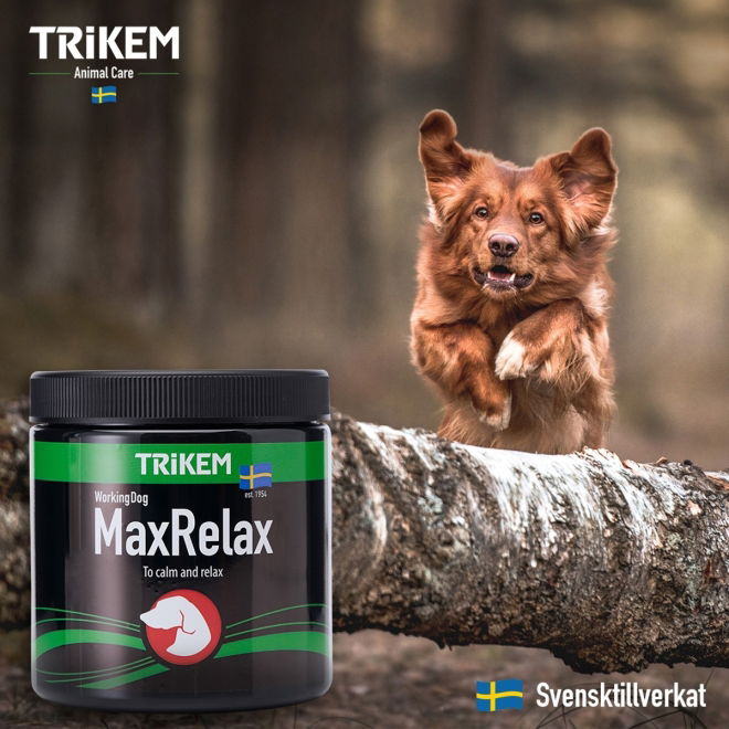 Trikem WorkingDog Max Relax+