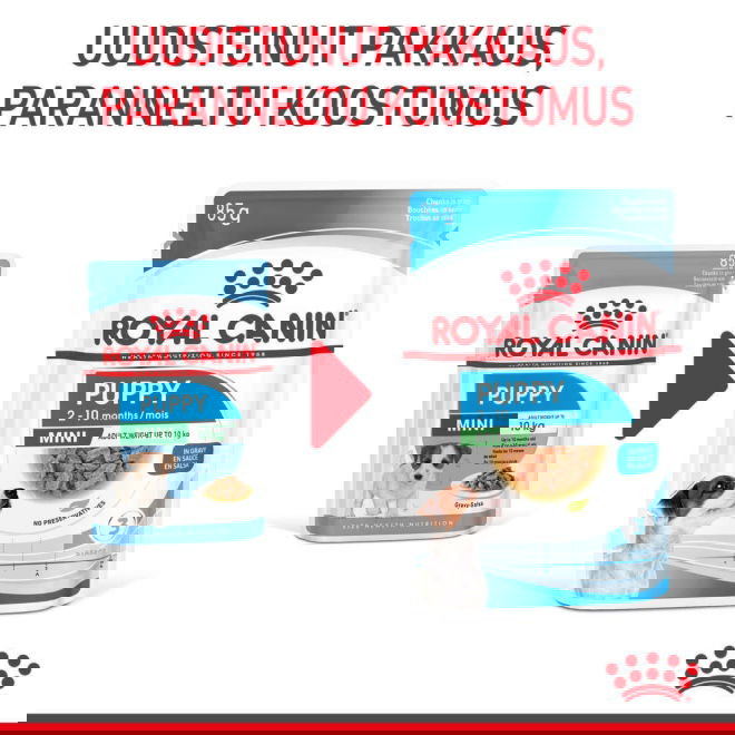 Royal Canin Mini Puppy koiranpennun m&auml;rk&auml;ruoka 12x85g