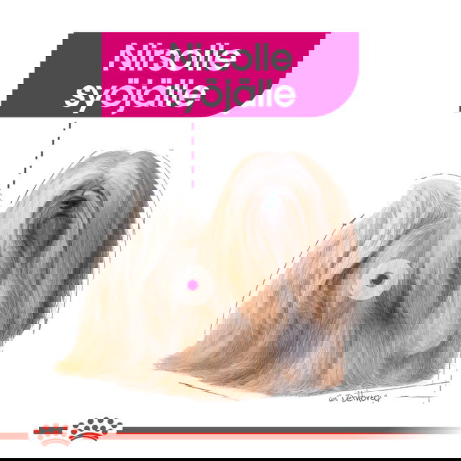 Royal Canin Exigent Mini Adult koiran kuivaruoka