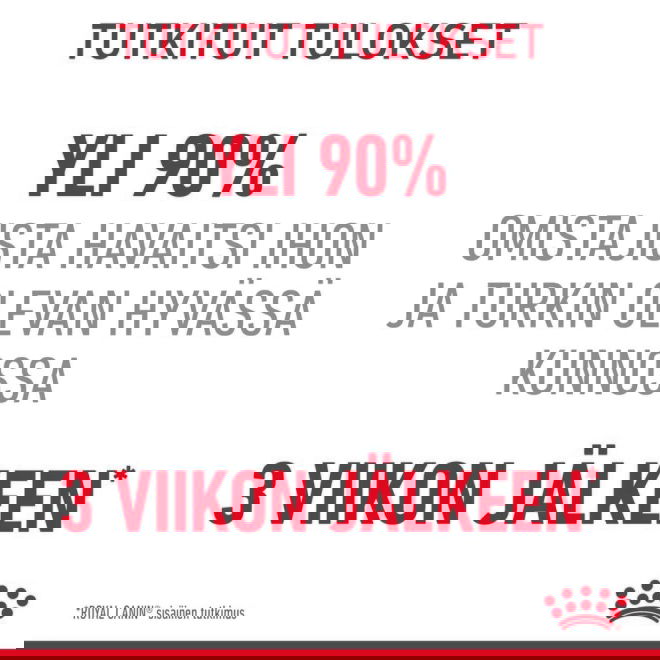 Royal Canin Hair & Skin Care Jelly Adult kissan märkäruoka