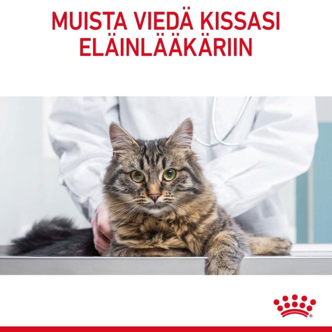 Royal Canin Light Weight Care Adult kissan kuivaruoka