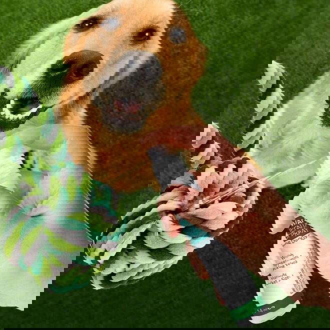 Vets Best Dental Spray&Ball Rope