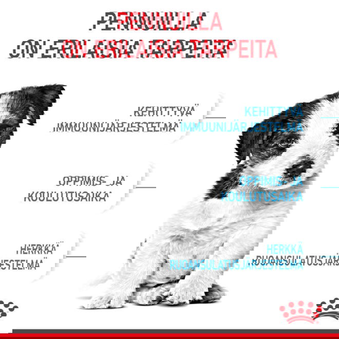 Royal Canin Mini Puppy koiranpennun kuivaruoka