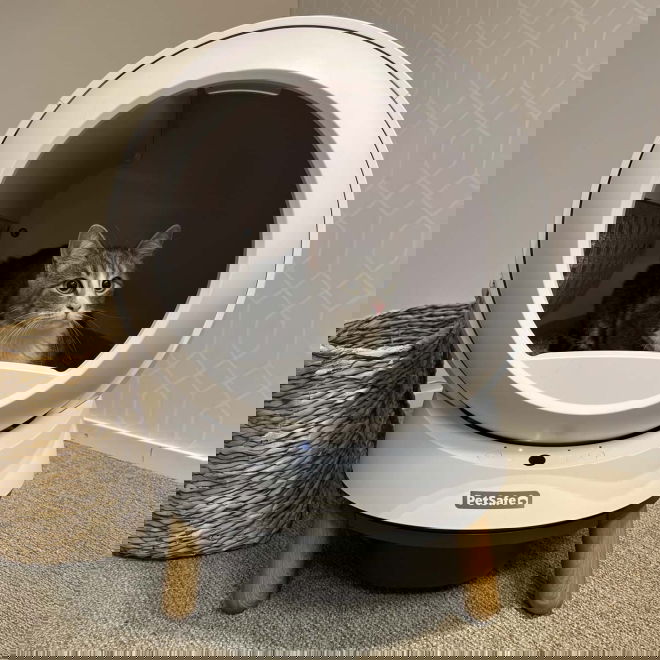 PetSafe SmartSpin Automaattinen kissanvessa