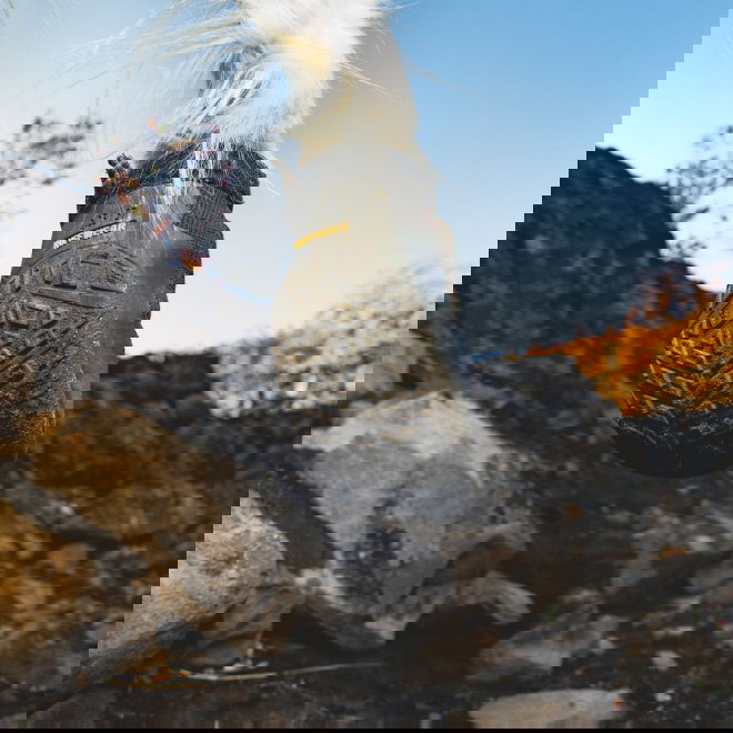 Ruffwear Ridgeline Keng&auml;t, mustat