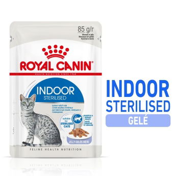 Royal Canin Indoor Sterilised Jelly Adult våtfôr til katt 12x85g