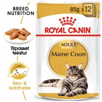 Royal Canin Maine Coon 12 x85 g